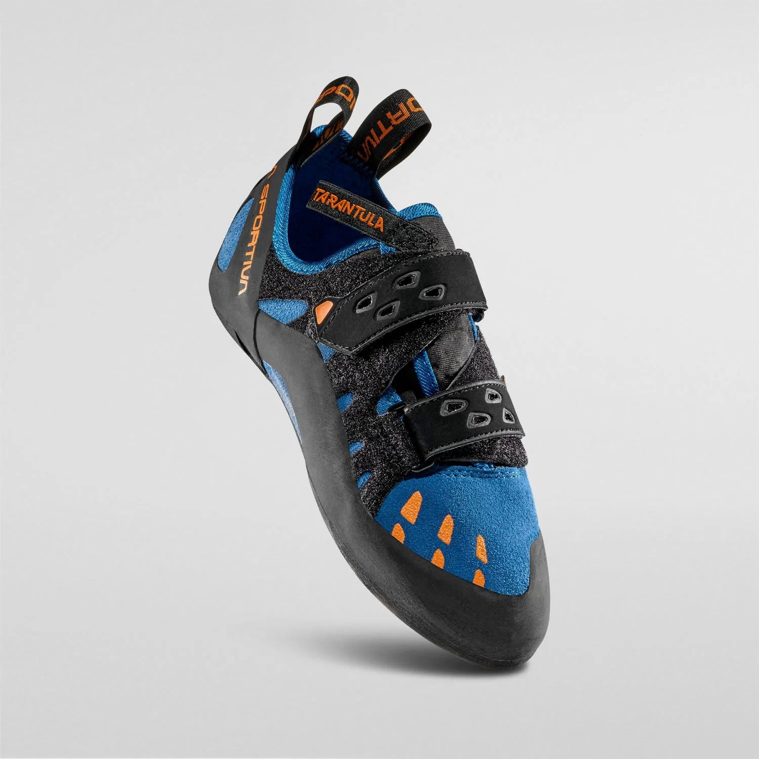 Tarantula Blue