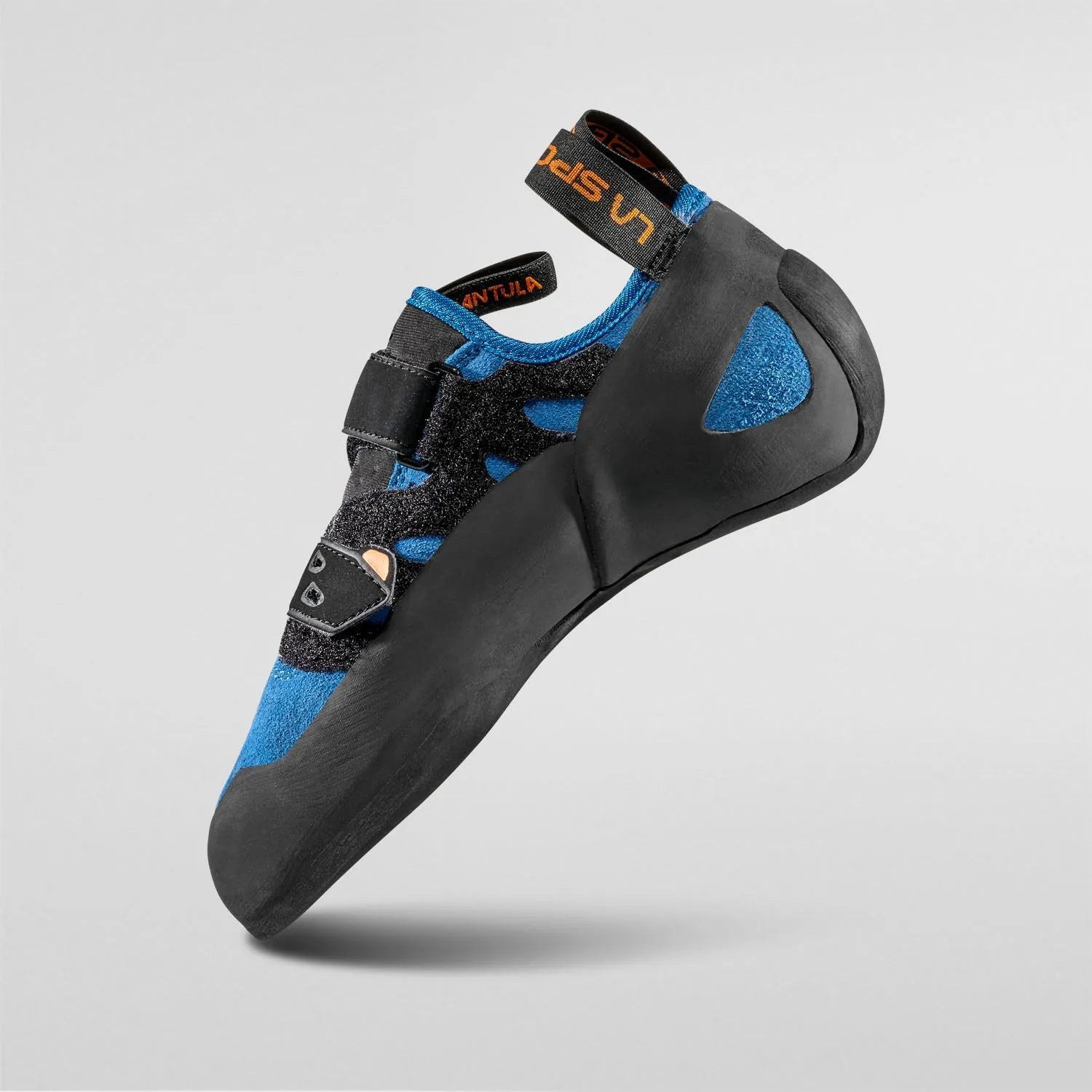 Tarantula Blue
