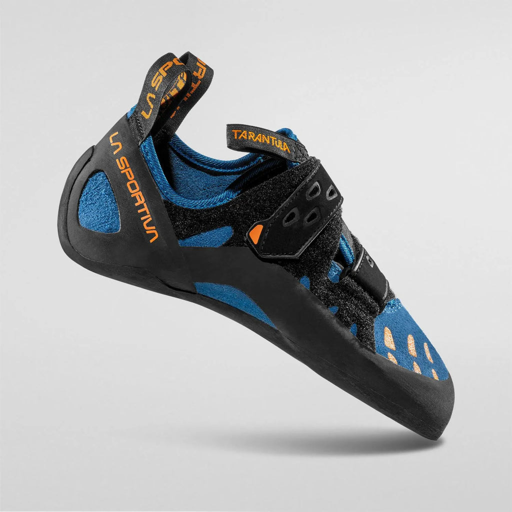Tarantula Blue
