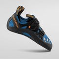 Tarantula Blue