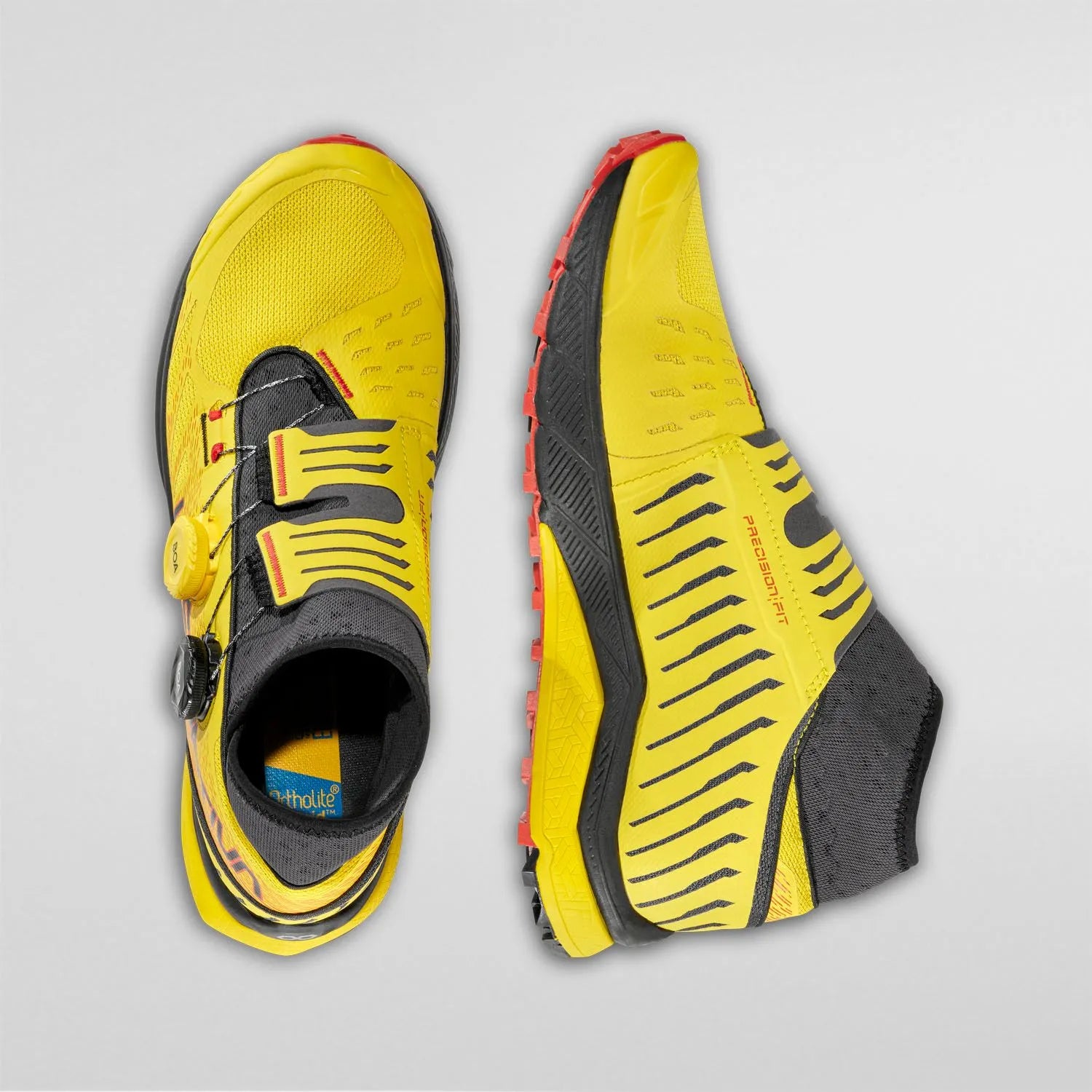 Jackal II Boa  Yellow/Black
